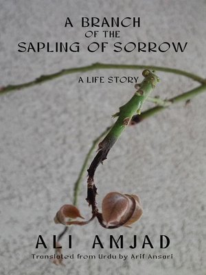 cover image of A Branch of The Sapling of Sorrow